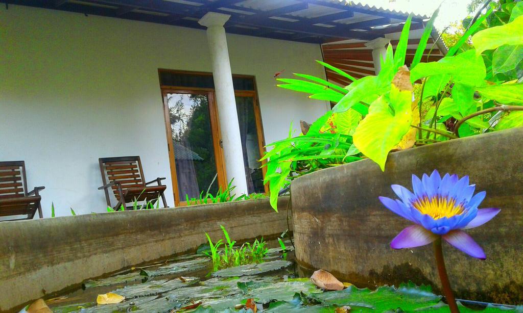 River Retreat Sigiriya Exteriér fotografie