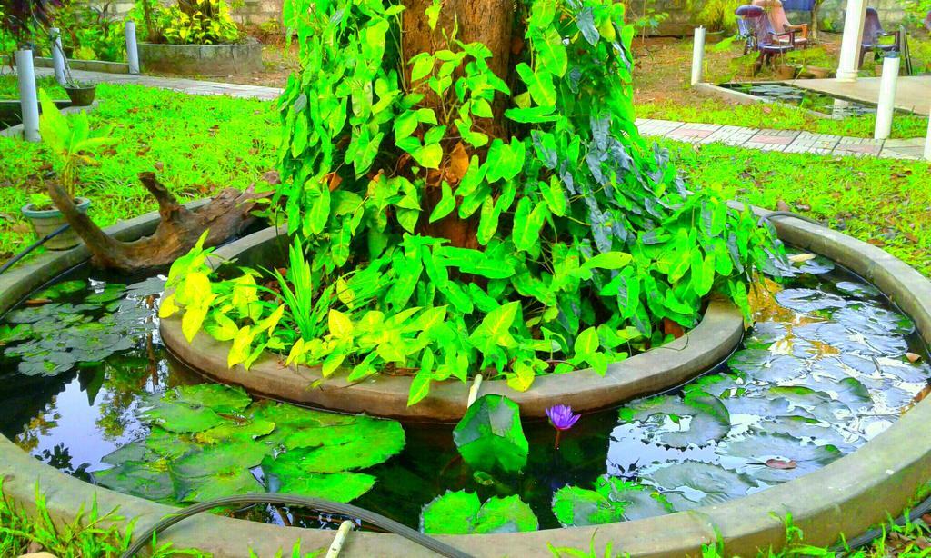 River Retreat Sigiriya Exteriér fotografie
