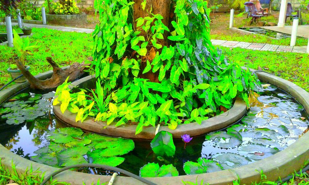 Hotel River Retreat Sigiriya Exteriér fotografie